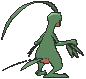 Grovyle, Back, in Sun & Moon