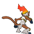 Infernape, Back, in Sun & Moon