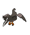 Staravia, Back, in Ultra Sun & Ultra Moon