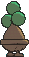 Bonsly, Back, in Sun & Moon