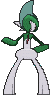 Gallade, Back, in Sun & Moon