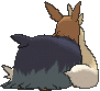 Stoutland, Back, in Ultra Sun & Ultra Moon