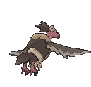 Mandibuzz, Back, in Sun & Moon