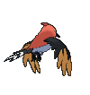 Fletchinder, Back, in Ultra Sun & Ultra Moon