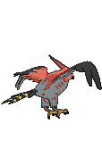 Talonflame, Back, in Ultra Sun & Ultra Moon