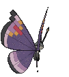 Vivillon Elegant, Back, in Ultra Sun & Ultra Moon