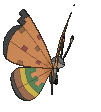 Vivillon High Plains, Back, in Sun & Moon