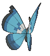 Vivillon Marine, Back, in Ultra Sun & Ultra Moon