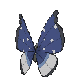 Vivillon Polar, Back, in Ultra Sun & Ultra Moon