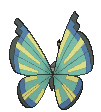 Vivillon Savanna, Back, in Sun & Moon