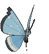 Vivillon Tundra, Back, in Ultra Sun & Ultra Moon