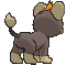 Litleo, Back, in Sun & Moon