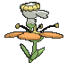 Flabébé Orange Flower, Back, in Sun & Moon