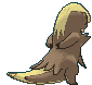 Gumshoos, Back, in Ultra Sun & Ultra Moon