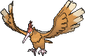 Fearow in X & Y