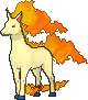 Rapidash, Front, in X & Y