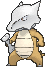 Marowak in X & Y