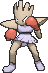 Hitmonchan in X & Y
