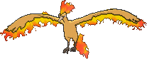 Moltres, Front, in X & Y