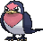 Taillow in X & Y