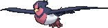 Swellow, Front, in X & Y