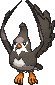 Staravia, Front, in X & Y