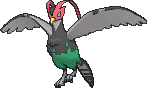 Unfezant in X & Y