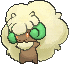 Whimsicott, Front, in X & Y