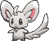Minccino, Front, in X & Y