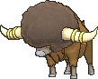 Bouffalant, Front, in X & Y