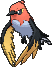 Fletchinder, Front, in X & Y