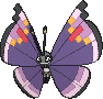 Vivillon Elegant in X & Y