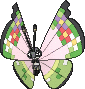 Vivillon Fancy, Front, in X & Y