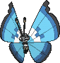 Vivillon Marine, Front, in X & Y