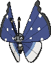 Vivillon Polar in X & Y