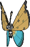 Vivillon River in X & Y
