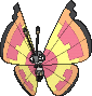 Vivillon Sun, Front, in X & Y