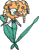 Florges Orange Flower in X & Y