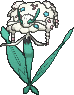 Florges White Flower in X & Y