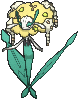 Florges Yellow Flower in X & Y