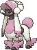 Furfrou Matron Trim in X & Y