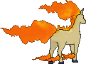 Rapidash, Back, in X & Y
