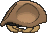 Kabuto, Back, in X & Y