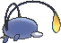 Chinchou, Back, in X & Y
