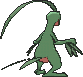 Grovyle, Back, in X & Y