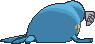 Sealeo, Back, in X & Y