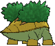 Grotle, Back, in X & Y