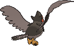 Staraptor, Back, in X & Y