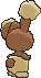 Buneary, Back, in X & Y