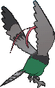 Unfezant, Back, in X & Y